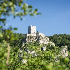 Burgruine Wellheim